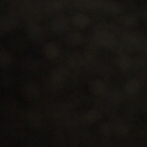 Meet your Posher, Tae